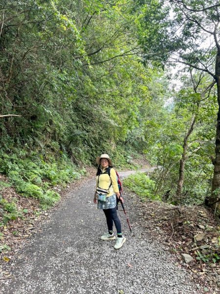 林美石盤步道 淺山縱谷 賞瀑 看樹好地方3053928