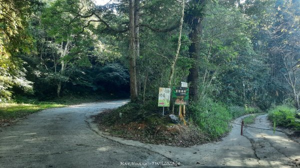 《新竹》斷崖神木｜北得拉曼步道小P繞202510172917455