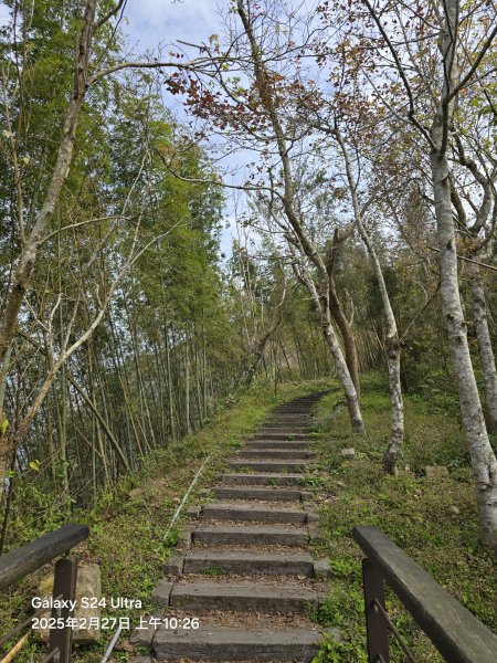 2025-02-27二延平步道2725424