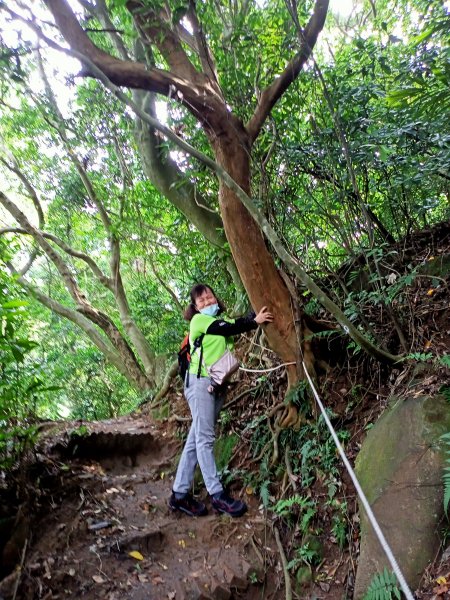 《暢遊天母翠峰瀑布、天母古道、下竹林山、玉稠湖山主峰&南峰》1445598