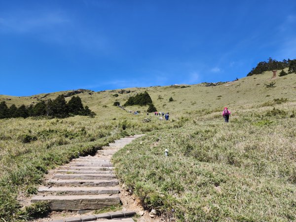 百岳No.35⛰合歡東峰2498792