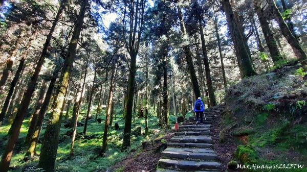 《嘉義》森鐵雲海｜阿里山祝山觀日步道對高岳車站202312292388838