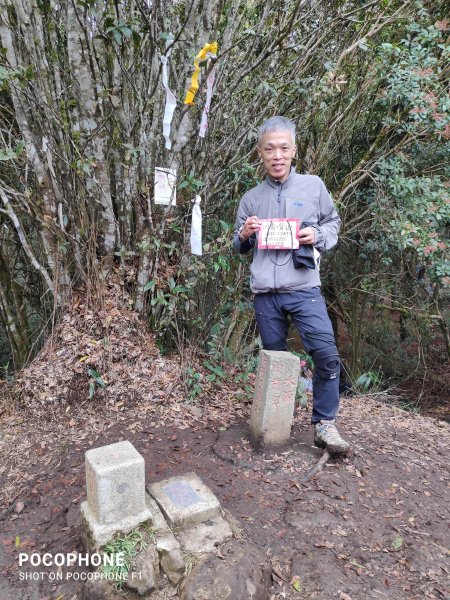 20211120 新竹北得拉曼步道+內鳥嘴山_山毛櫸1531933