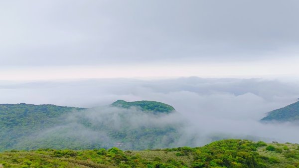 大屯山琉璃光雲海&雲瀑4/52472833