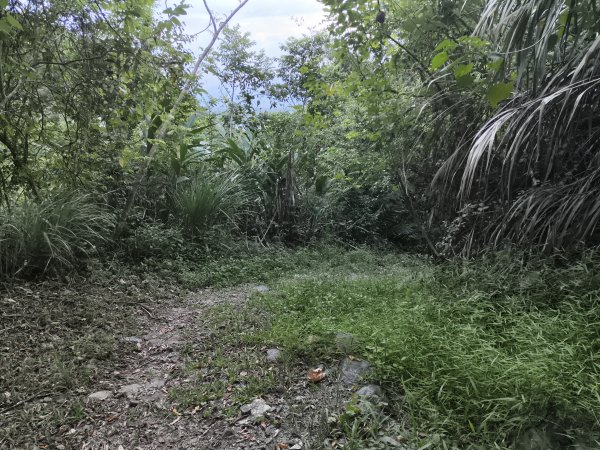 [漫遊縱谷 愛在花東-09/10] 2025_1012 米棧古道2913552