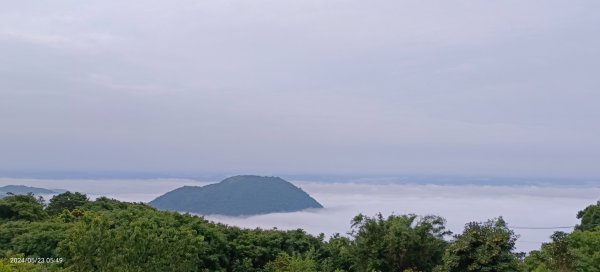 陽明山再見雲海&雲瀑5/23 #五色鳥育雛2510710