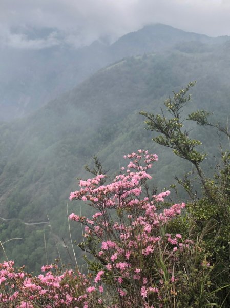玉山前峰【我們與玉山的距離】583850