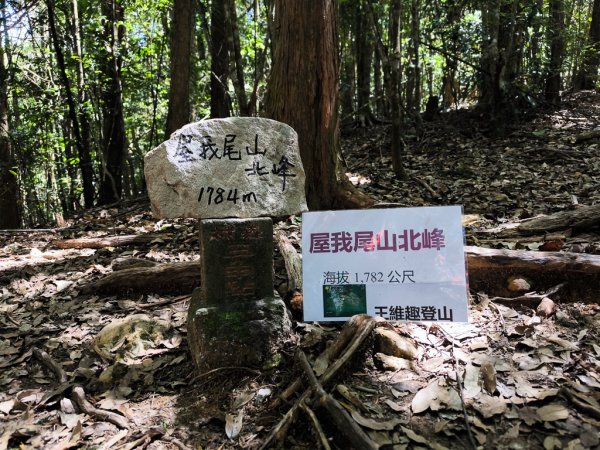 2026-06-20 屋我尾山+屋我尾林道3086847