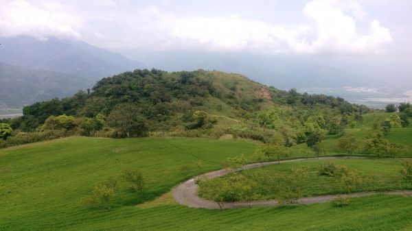 金針還沒開花的萬人山