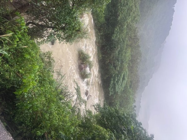 2024草嶺古道芒花季草嶺古道2644787