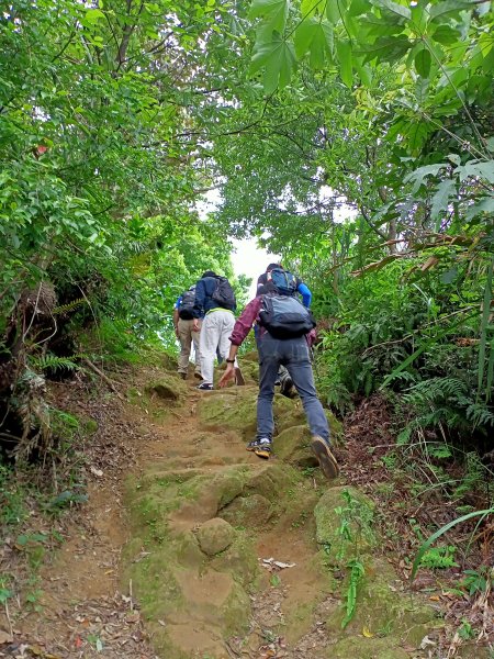 【小百岳集起來】  #016 福地洞天的烘爐地登山步道/南勢角山 H302m1333911