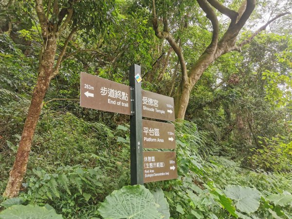 坑內坑森林步道-體驗生態與森林浴的進香道1049361