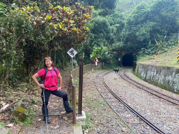 阿拔泉山、觀音石山、紅南坑山、獨立山2650828