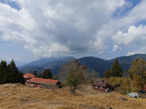 1090208清境農場&高空觀景步道830477