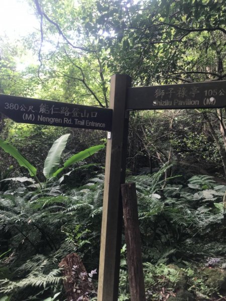 20190608新店獅頭山步道612423