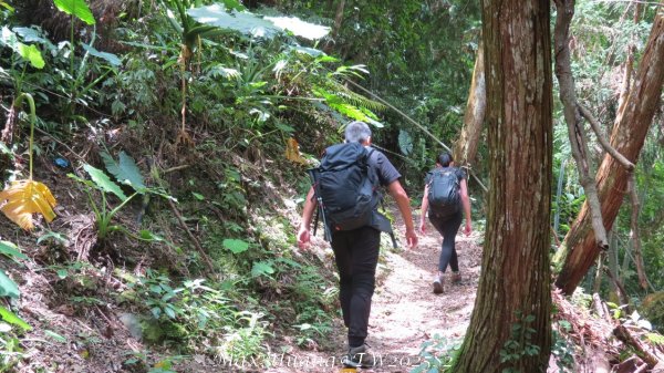 《台中》優美稜線｜橫嶺山自然步道（大雪山社區南登山口）202505312800268