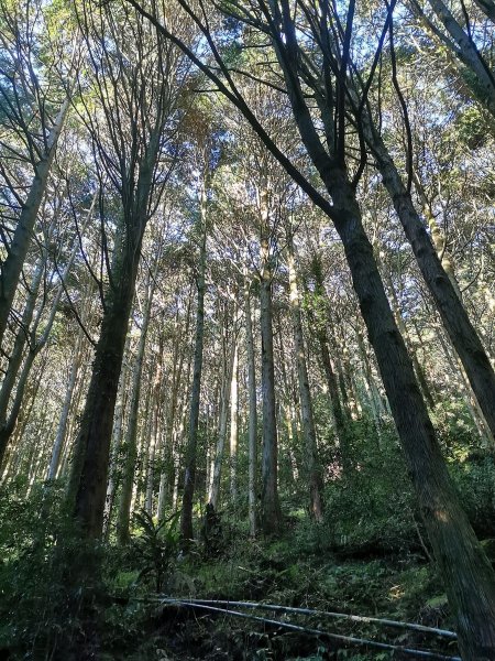 近臨雲海滿佈的干卓萬群峰-10/9~111139025