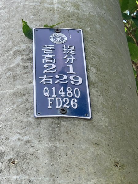20250830台南大潭山2877103