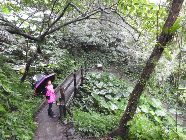 20181117林美石磐步道雨中行473282