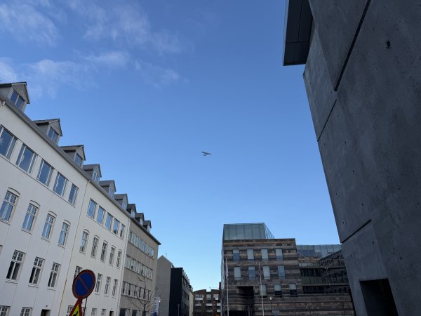 [紐約馬之行-21] 2025_1104 托寧湖(Tjörnin)2946351