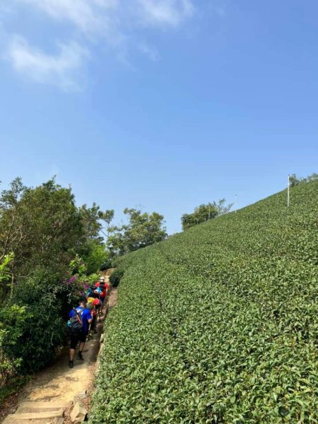 20240317十分速C團爬山趣2457022