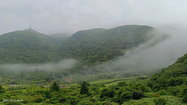 陽明山再見雲海&雲瀑5/23 #五色鳥育雛2510724