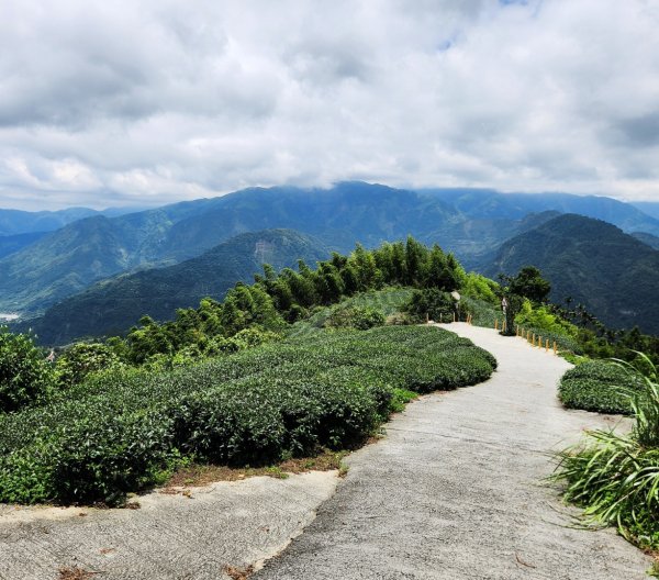 【中級山縱走】雲嘉八連峰（後棟仔山，大尖山，二尖山，馬鞍山，梨子腳山，太平山，大巃頂山及其西北峰）2821118
