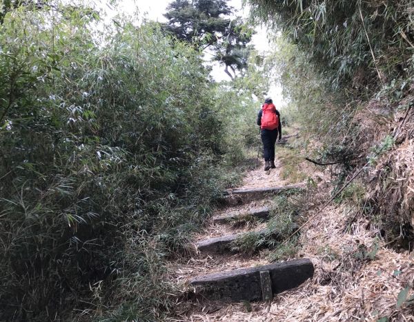 船形鞍馬 小雪山國家步道297840