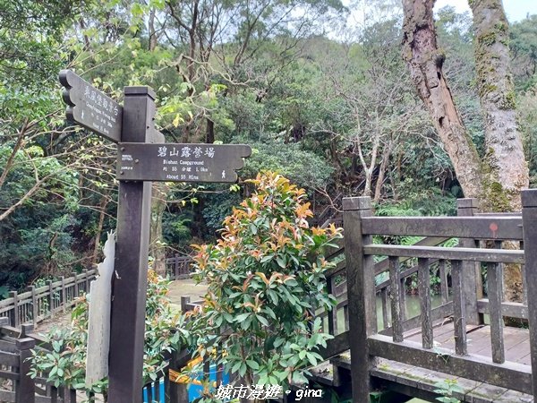 【台北。內湖】山頂好眺望。 小百岳集起來。 編號8小百岳大崙頭尾山親山步道1590470