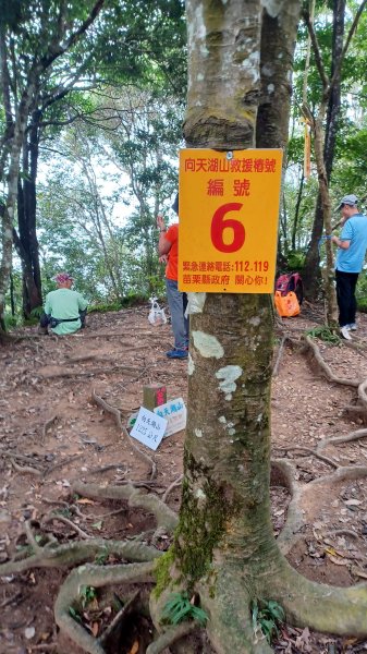 【苗栗南庄】向天湖山光天高山小O繞2933164