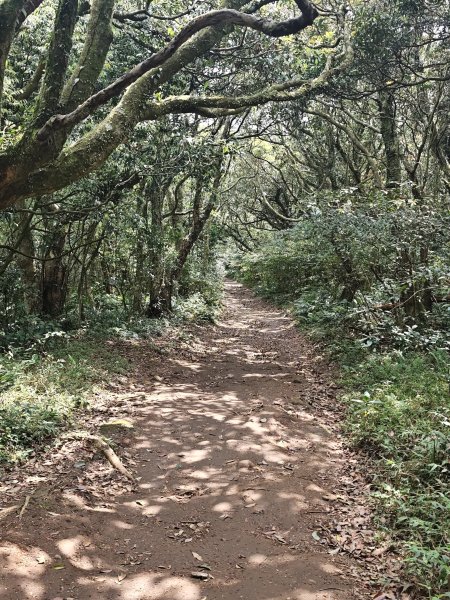 2026-0323 台北大縱走第一段3022632