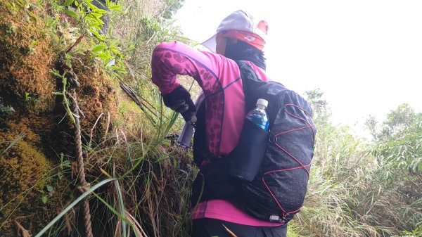 大塔山探勘大塔山最高峰(光頭兄) O繞順走大塔山西峰艱難路線下溪谷 2024年8月11日2569723