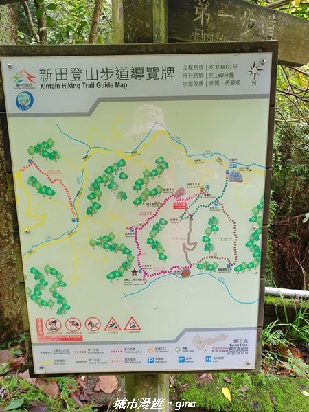 【台中潭子】風和日麗健行趣。 新田登山步道x聚興山2310401