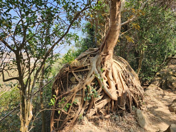 小百岳No.72⛰旗尾山3025192