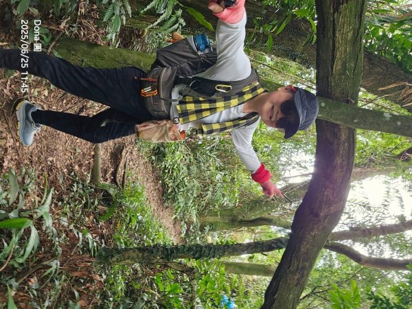 大溪大九芎步道上小百岳溪洲山(H577m)2844319