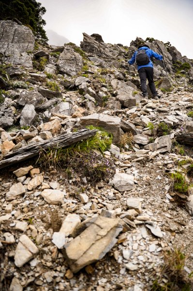 帝王之座-南湖主峰線｜南湖大山＋南湖南峰＋巴巴山2884978