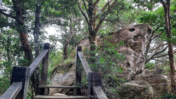 《新竹》斷崖神木｜北得拉曼步道小P繞202510172917524