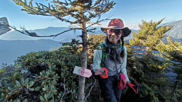 北二段之 甘薯無明2611893