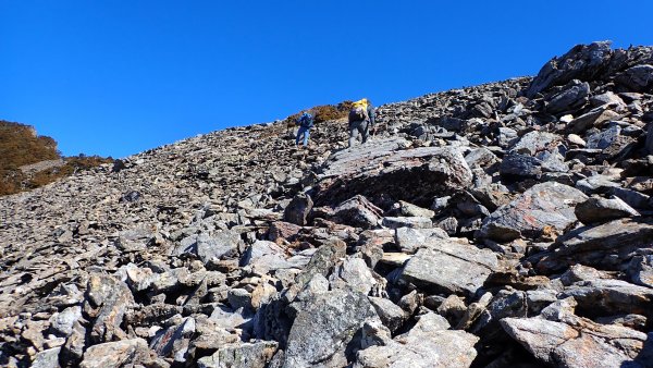 雪山西峰/博可爾山/翠池三叉山與五翠池悠閒走探的山遊記(三日)2838499