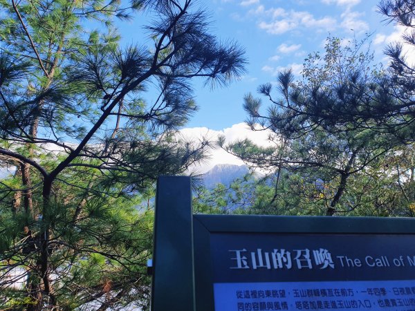 【塔塔加六山】眺望玉山最美稜線1235915