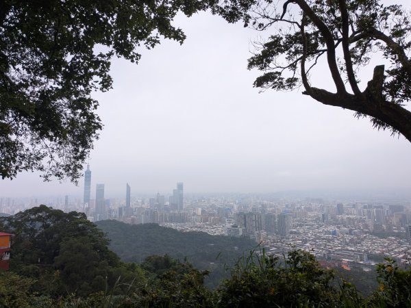 2025-06-08 臺北大縱走第六、七段2814180