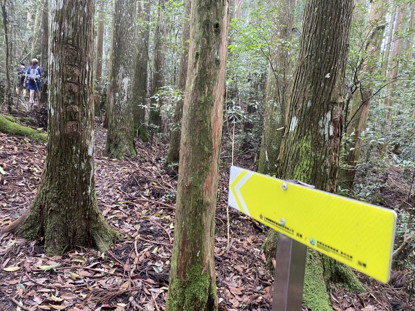 20250713-Ep.09油羅山步道-2025森遊竹縣皮皮獅探險隊2851898