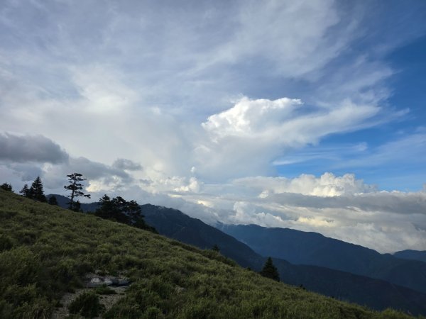 志佳陽大山（回程走高繞環山獵人登山步道）2542198