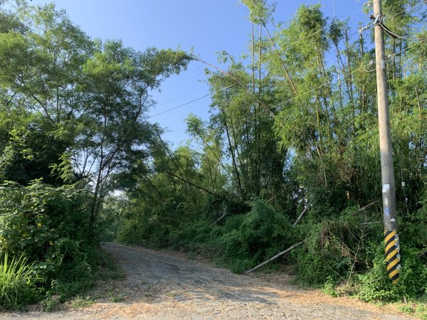 20250830高雄東崗山2877027