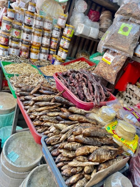 尼泊爾-世界最高村莊-南崎巴札-丁波切-最高海拔藏佛寺廟-雪人博物館-最危險機場-盧卡拉2789627