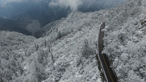 【新聞】今年入冬最強冷氣團影響 太平山將實施預警性管制措施