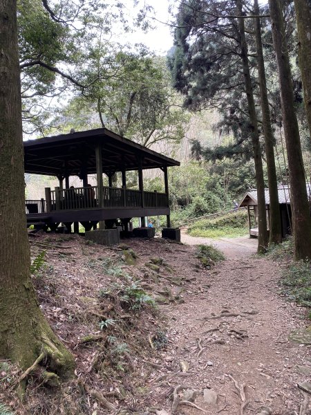 奮起湖大凍山3060271
