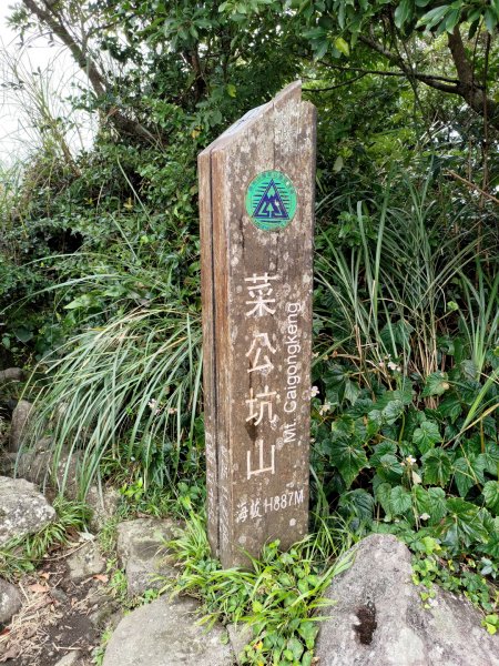 【台北市北投區】菜公坑山(枕頭山)2303434