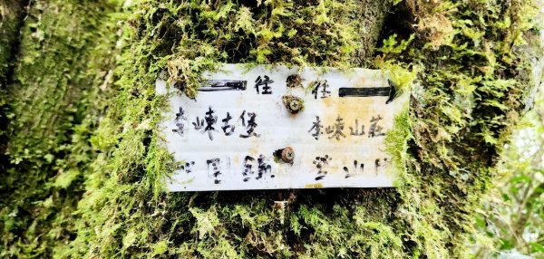 【中級山】隱藏在尖石的神秘古堡，昔日兵家必爭之地，新竹李棟山2744555