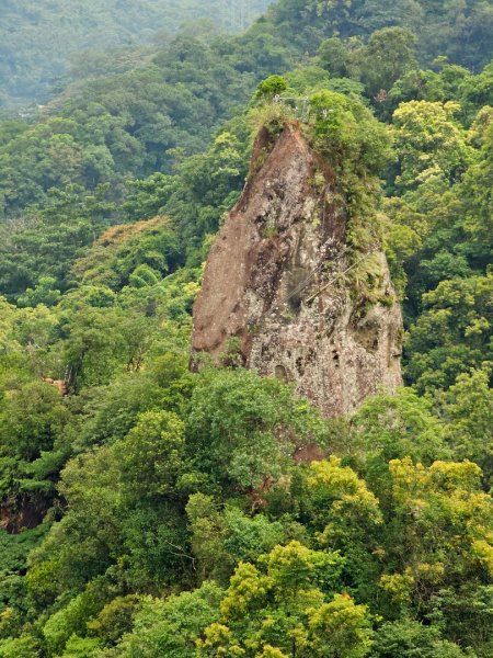 (五分山系)平溪小黃山-2025微笑山線大縱走尋寶集章任務2855302